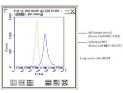 Sulfatase-2/SULF2 Antibody (2B4) - Azide and BSA Free, Novus Biologicals